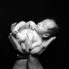 Newborn photography Session including 16x12" gift print or £50 towards digital packages - Image 3